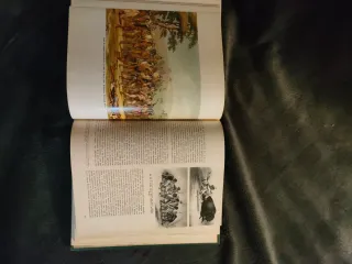 Historia del Mundo Moderno Cambridge