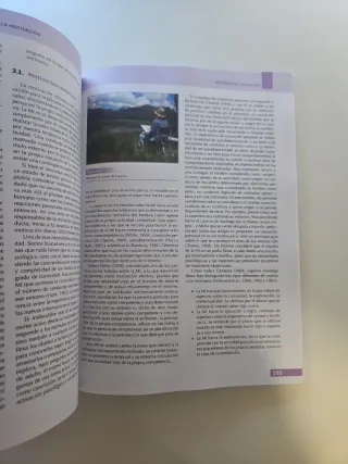 Fundamentos Teóricos y Prácticos de la Motivaci...