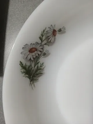 2 Fuentes de Arcopal con Margaritas