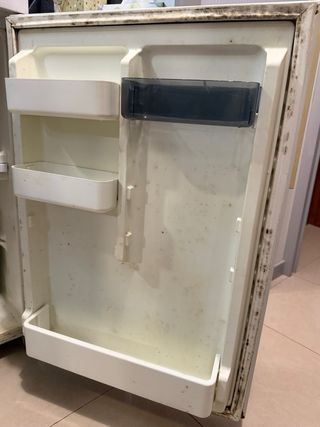 Nevera pequeña