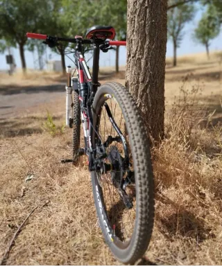 Bicicleta de Montaña