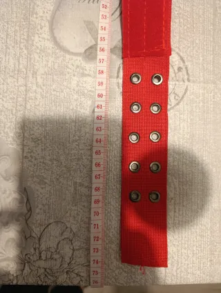 Collar perro grande rojo