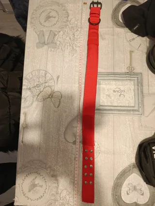 Collar perro grande rojo