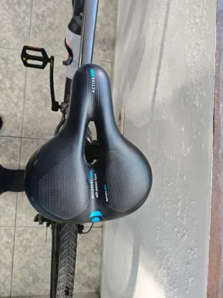 Bicicleta Giant Roam 2 Disc