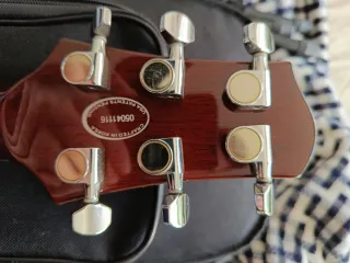 Guitarra Electroacústica Line 6 Variax 700