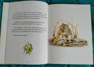 Libro : El Valle encantado de Billy el Viejo