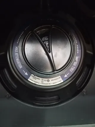 Pantalla Palmer 1x12 con Eminence Maverick