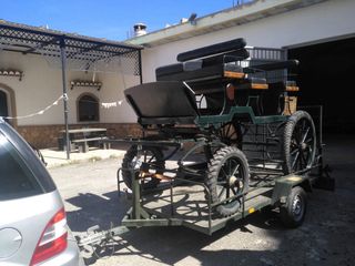 Coche de caballos domadora