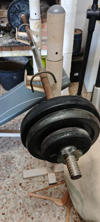 Banco de pesas DOMYOS BM 100