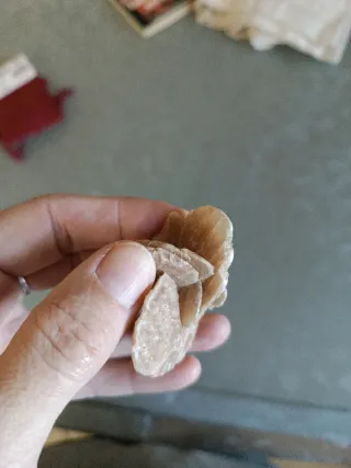 Rosa del deserto minerale