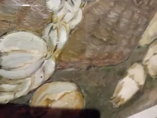 Olio su tela natura morta