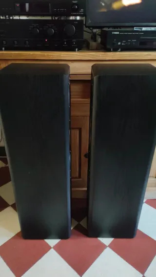 Altavoces Magnat Monitor Supreme 802 Negros