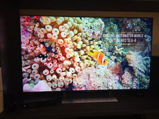 Televisor Sony Bravia XE9005 55"