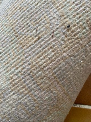 Alfombra de lana virgen beige/gris