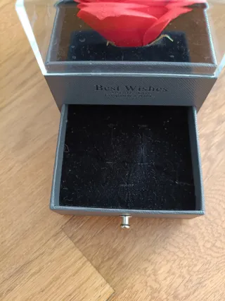 Rosa Eterna en Caja Transparente