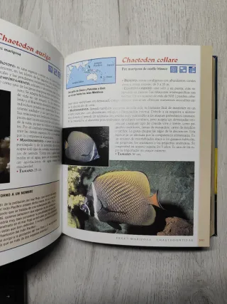 Acuario de agua salada (Spanish Edition)