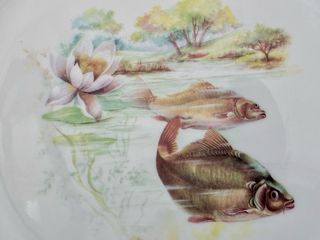 🇫🇷 Limoges 10 Platos Pescado Llanos