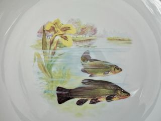 🇫🇷 Limoges 10 Platos Pescado Llanos