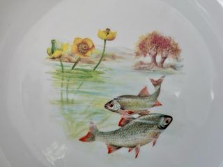 🇫🇷 Limoges 10 Platos Pescado Llanos
