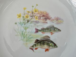 🇫🇷 Limoges 10 Platos Pescado Llanos