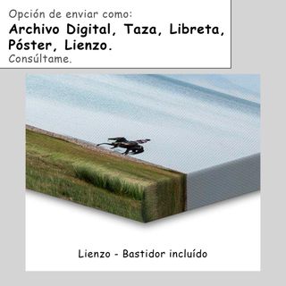 Lámina Nombre personalizado con Superhéroes Marvel