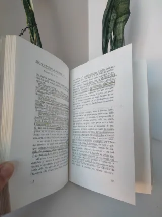 Libro universitario  Introduzione al futuro