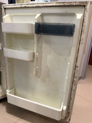 Nevera pequeña