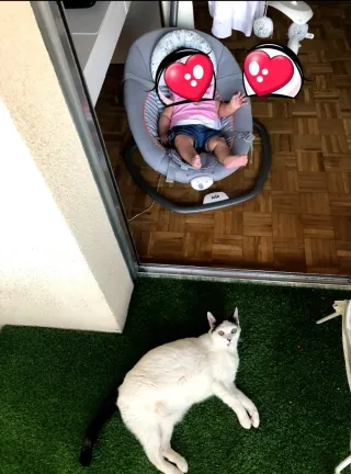 Hamaca automática para bebé