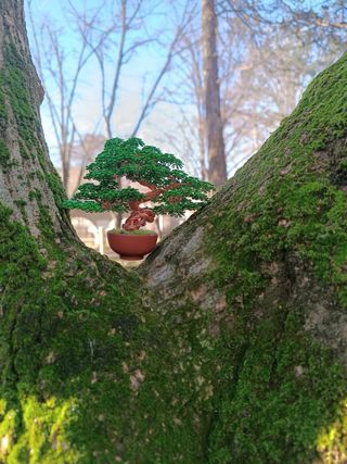 Bonsái miniatura escultura