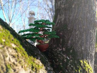 Bonsái miniatura escultura