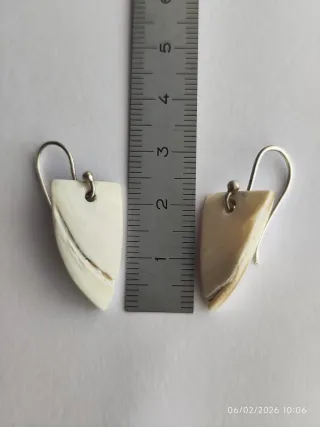 Pendientes Hallstatt Concha Plata