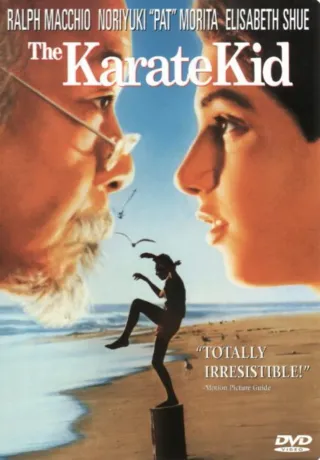 DVD The Karate Kid