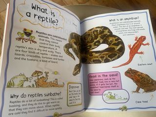 Libro en inglés My First Question and Answer Book