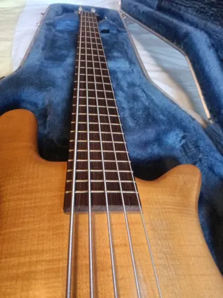 Bajo Warwick Streamer Pro M