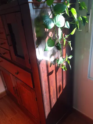 Mueble de madera con puertas y cajones