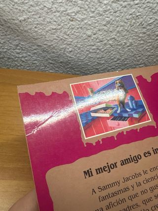 Mi mejor amigo es invisible libro pesadillas