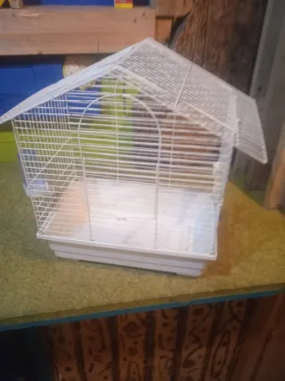 Jaula para pájaros blanca
