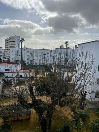 Piso en alquiler en Sector Sur  - La Palmera - Reina Mercedes en Sevilla