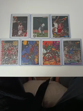 Cromos Michael Jordan Bulls