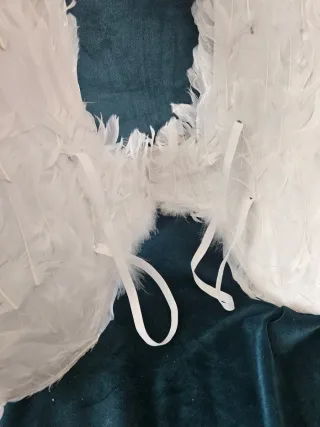 Ali d'angelo bianche travestimento