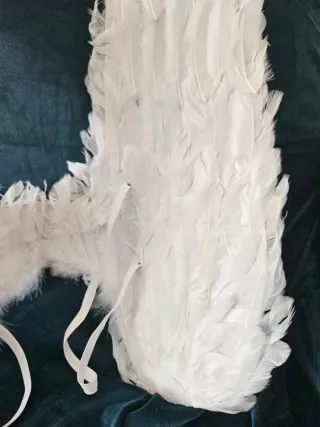 Ali d'angelo bianche travestimento