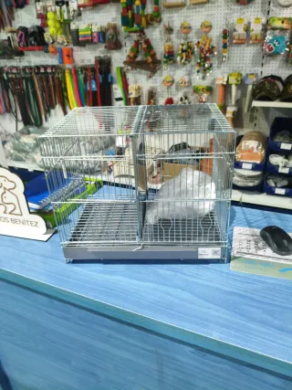 Jaula cría 40cm RSL