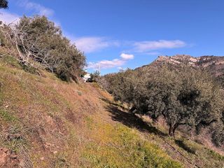Casa rural en alquiler en La Herradura en Almuñécar