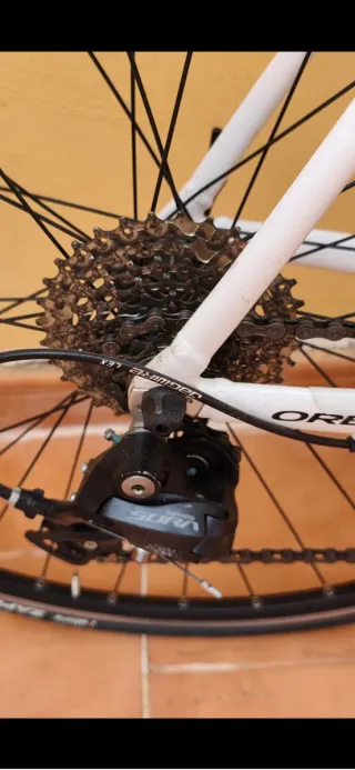 Bicicleta Orbea Avant + Garmin Edge 520