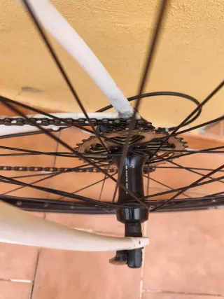 Bicicleta Orbea Avant + Garmin Edge 520