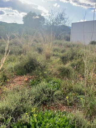 Terreno en venta en Betxí