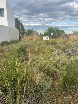 Terreno en venta en Betxí