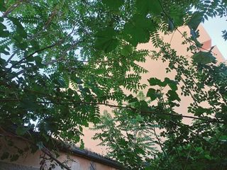 Terreno en venta en Vía Romana en Segovia