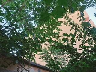 Terreno en venta en Vía Romana en Segovia