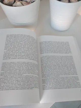 Atti e poteri del giudice tributario. Tra princ...